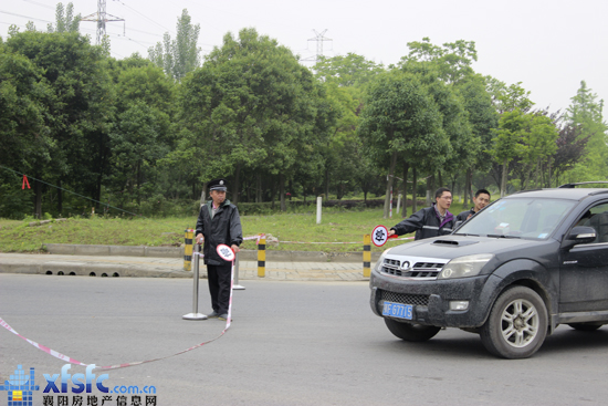 車輛 秩序.jpg