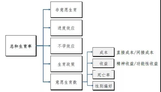 WeChat 圖片_20190125164301.jpg